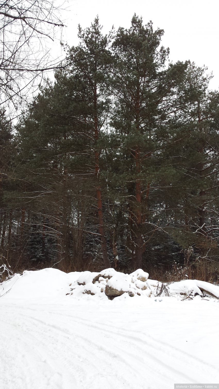 Дело было в январе — Домашние коллекции кукол: фото собраний (фото 10)