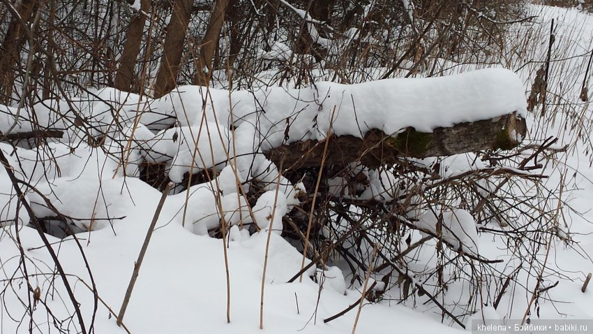 Дело было в январе — Домашние коллекции кукол: фото собраний