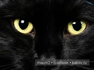 Знаете ли вы, что… Цвет – глубокое понятие! (Часть II) (фото 8)