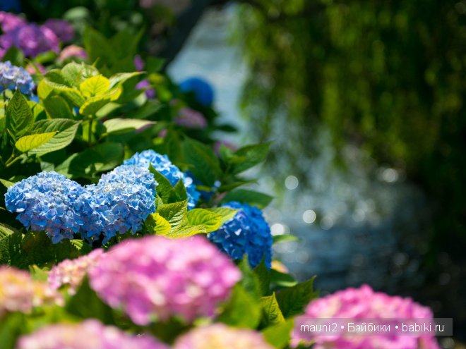 Обаяшка-хулигашка, но такая классная! Кукла Susan Krey (фото 6)