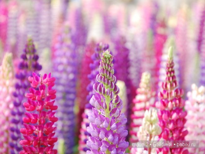 Обаяшка-хулигашка, но такая классная! Кукла Susan Krey (фото 7)