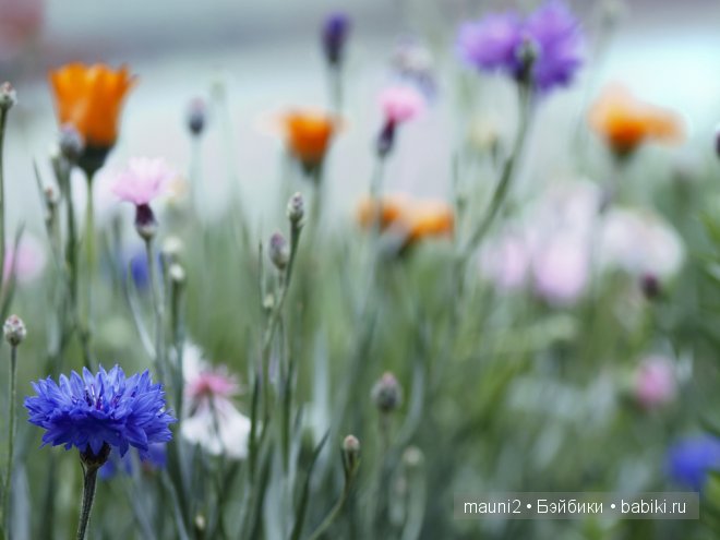 Обаяшка-хулигашка, но такая классная! Кукла Susan Krey