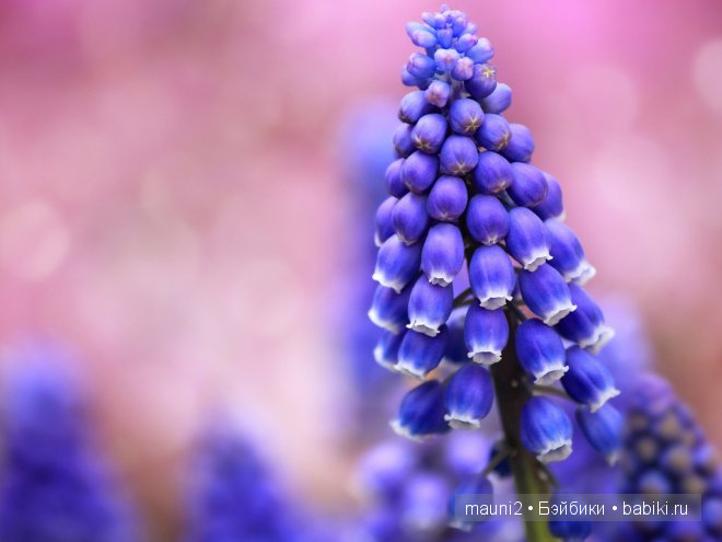 Обаяшка-хулигашка, но такая классная! Кукла Susan Krey (фото 8)