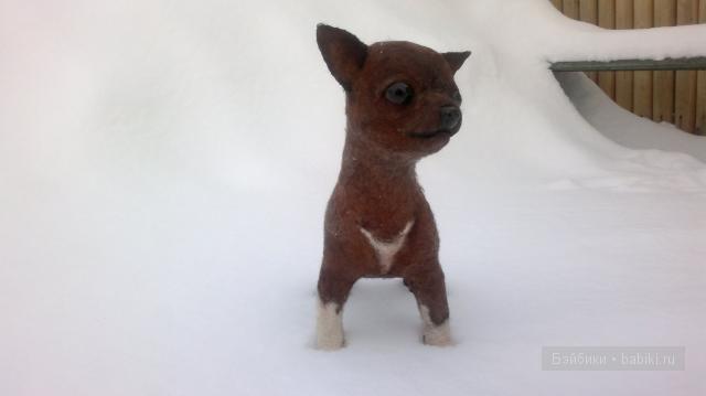 Собачка, породы - Чихуахуа. Сухое валяние игрушек из шерсти (фото 2)