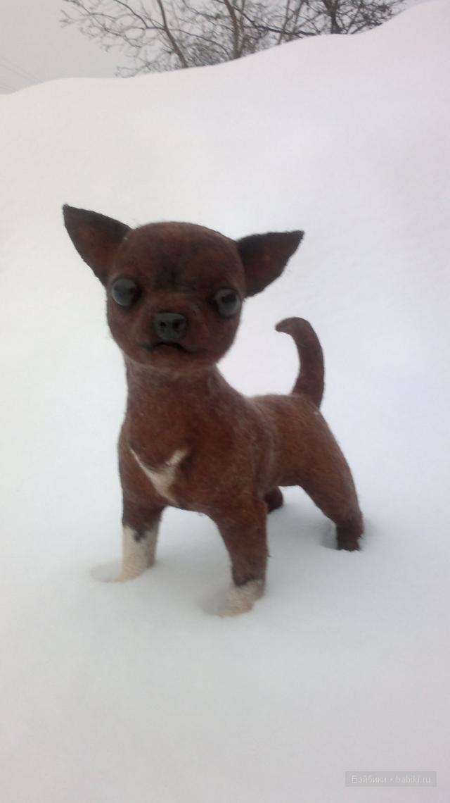 Собачка, породы - Чихуахуа. Сухое валяние игрушек из шерсти (фото 4)