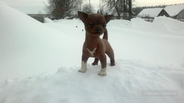 Собачка, породы - Чихуахуа. Сухое валяние игрушек из шерсти (фото 3)