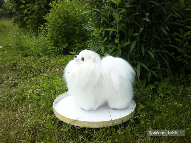 померанский шпиц