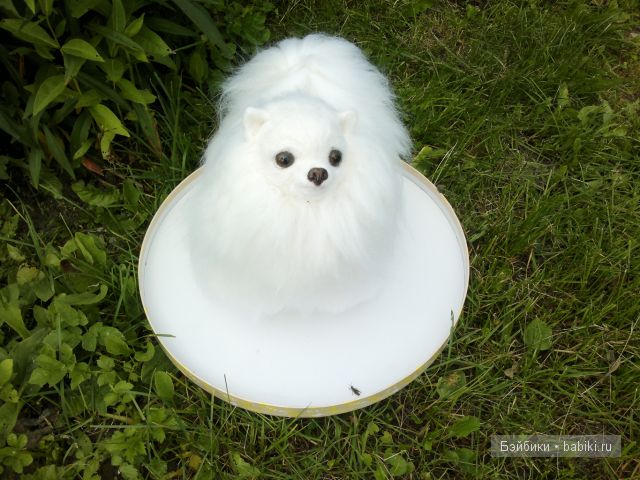 Собачка породы шпиц. Игрушка сухим валянием