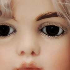 Новая работа этого года. Брю 80см