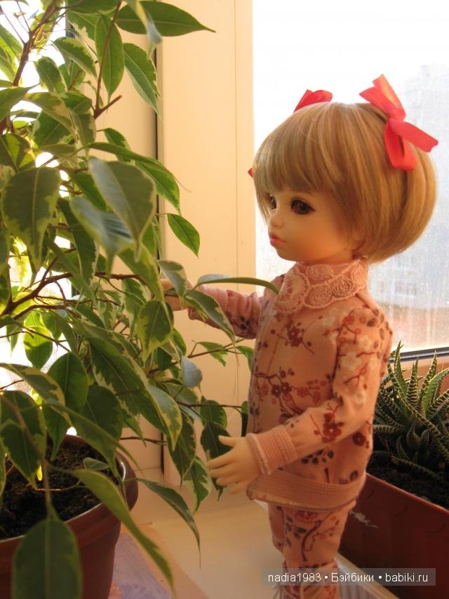 Вот моя Бонечка дома,от фирмы Iplehouse молд Bordy | Бэйбики Вот моя Бонечка дома,от фирмы Iplehouse молд Bordy (фото 3)