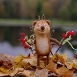 Краски осени