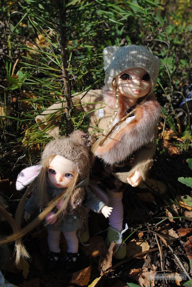 "Бабье лето" | Бэйбики "Бабье лето" — Куклы Fairyland (ФэйриЛэнд): BJD (БЖД) (фото 3)