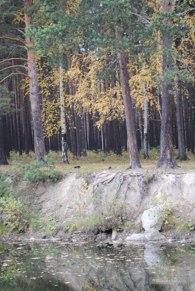 "Бабье лето" | Бэйбики "Бабье лето" — Куклы Fairyland (ФэйриЛэнд): BJD (БЖД) (фото 8)