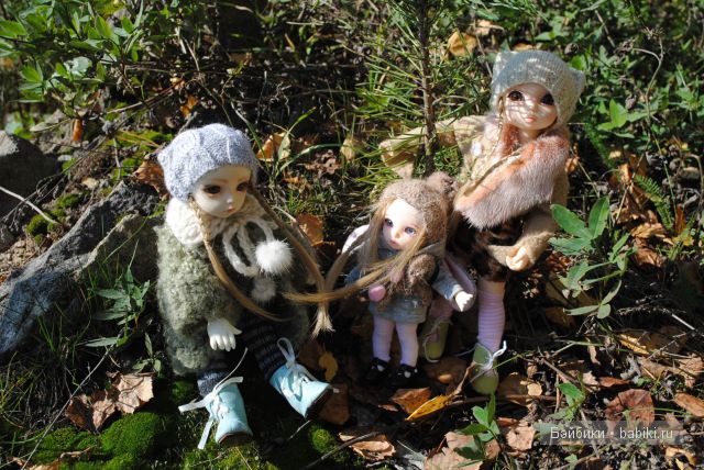 "Бабье лето" | Бэйбики "Бабье лето" — Куклы Fairyland (ФэйриЛэнд): BJD (БЖД) (фото 2)