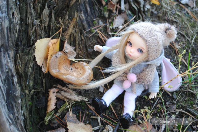"Бабье лето" | Бэйбики "Бабье лето" — Куклы Fairyland (ФэйриЛэнд): BJD (БЖД)