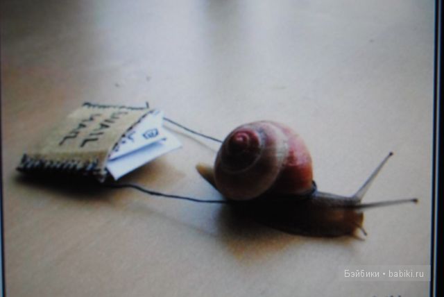 А у Вас? Почта. Отправление посылок, получение посылок (фото 5)