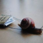 А у Вас? Почта. Отправление посылок, получение посылок