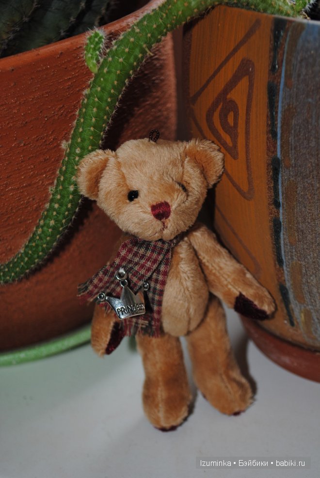 мишки Тедди