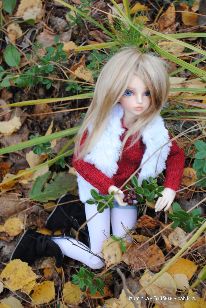 Минифи Фейриленд