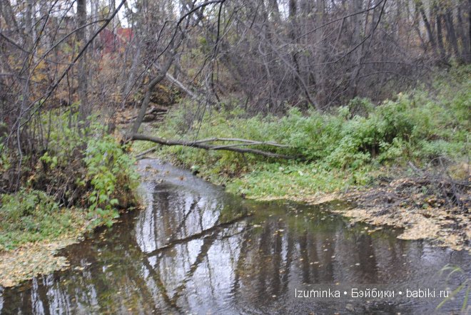 гибрид Нараи