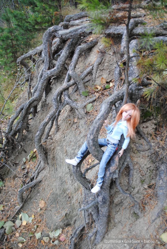 гибрид Нараи