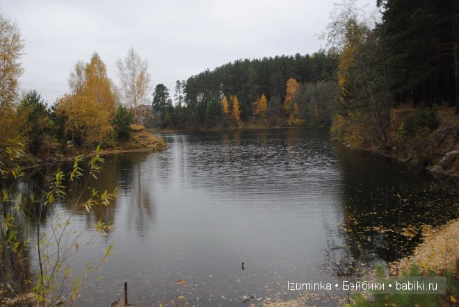 гибрид Нараи