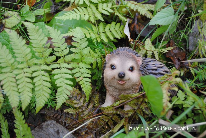Паулин Якобсен