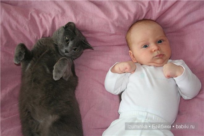 Кошка- нянька — Болталка и разговоры обо всем: жизнь (фото 10)