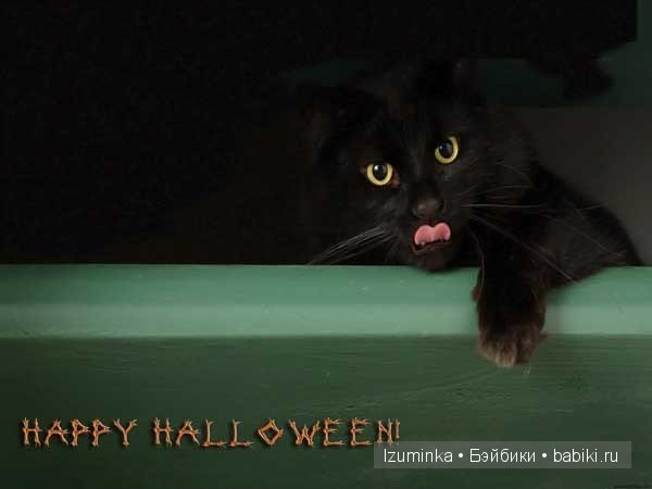 Кошка- нянька — Болталка и разговоры обо всем: жизнь