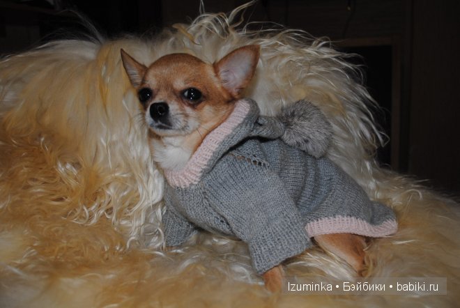 Мечты сбываются! Только надо верить и ждать | Бэйбики Мечты сбываются! Только надо верить и ждать (фото 10)