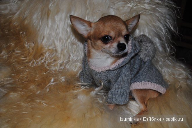 Мечты сбываются! Только надо верить и ждать | Бэйбики Мечты сбываются! Только надо верить и ждать