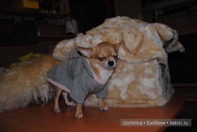 Мечты сбываются! Только надо верить и ждать | Бэйбики Мечты сбываются! Только надо верить и ждать