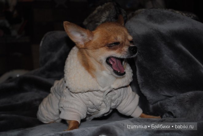 Мечты сбываются! Только надо верить и ждать | Бэйбики Мечты сбываются! Только надо верить и ждать (фото 4)