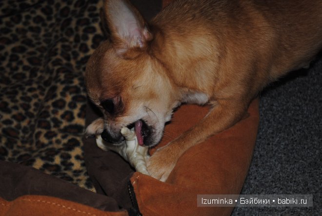 Мечты сбываются! Только надо верить и ждать | Бэйбики Мечты сбываются! Только надо верить и ждать