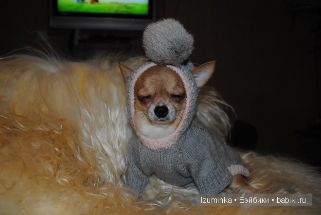 Мечты сбываются! Только надо верить и ждать | Бэйбики Мечты сбываются! Только надо верить и ждать (фото 7)