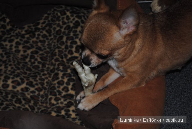 Мечты сбываются! Только надо верить и ждать | Бэйбики Мечты сбываются! Только надо верить и ждать