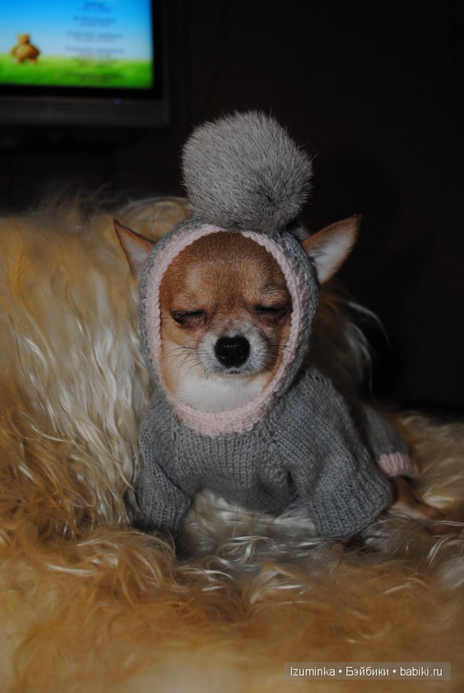 Мечты сбываются! Только надо верить и ждать | Бэйбики Мечты сбываются! Только надо верить и ждать (фото 8)