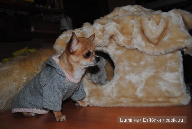 Мечты сбываются! Только надо верить и ждать | Бэйбики Мечты сбываются! Только надо верить и ждать