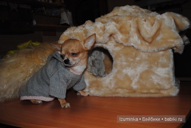 Мечты сбываются! Только надо верить и ждать | Бэйбики Мечты сбываются! Только надо верить и ждать