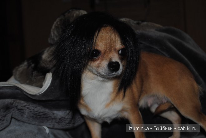 Мечты сбываются! Только надо верить и ждать | Бэйбики Мечты сбываются! Только надо верить и ждать (фото 6)