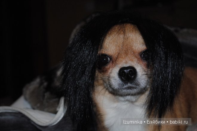 Мечты сбываются! Только надо верить и ждать | Бэйбики Мечты сбываются! Только надо верить и ждать (фото 5)