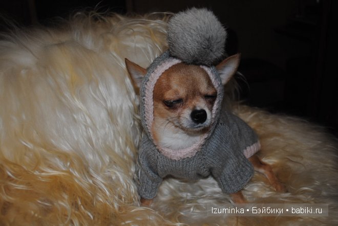 Мечты сбываются! Только надо верить и ждать | Бэйбики Мечты сбываются! Только надо верить и ждать (фото 9)