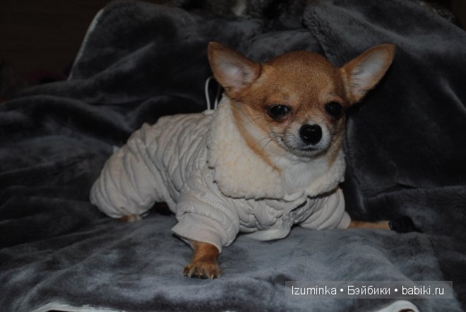 Мечты сбываются! Только надо верить и ждать | Бэйбики Мечты сбываются! Только надо верить и ждать (фото 2)