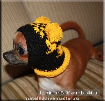 мода на собак