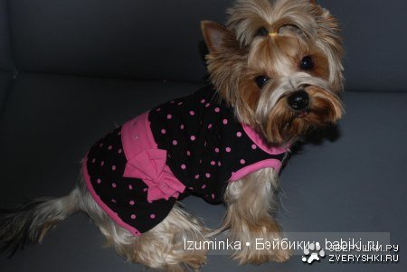 мода на собак