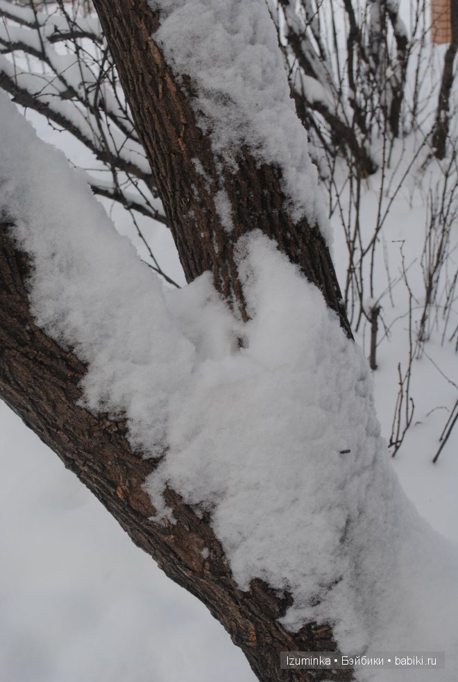 Лайла, Кайе Вигс Лайла, Кайе Вигс