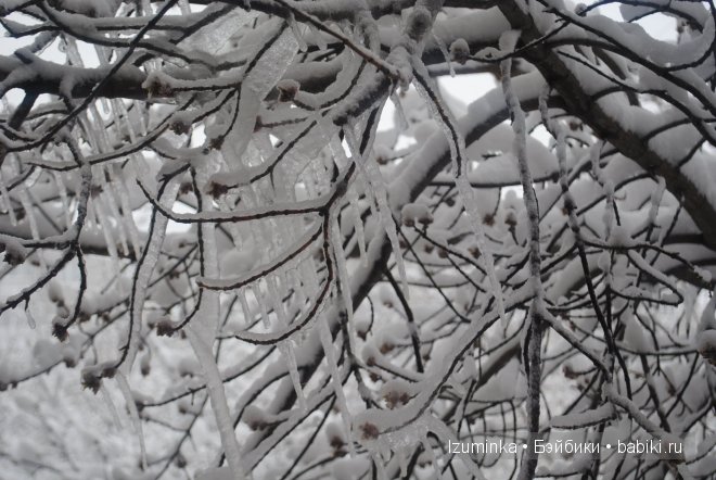 Талисса Кайе Вигс