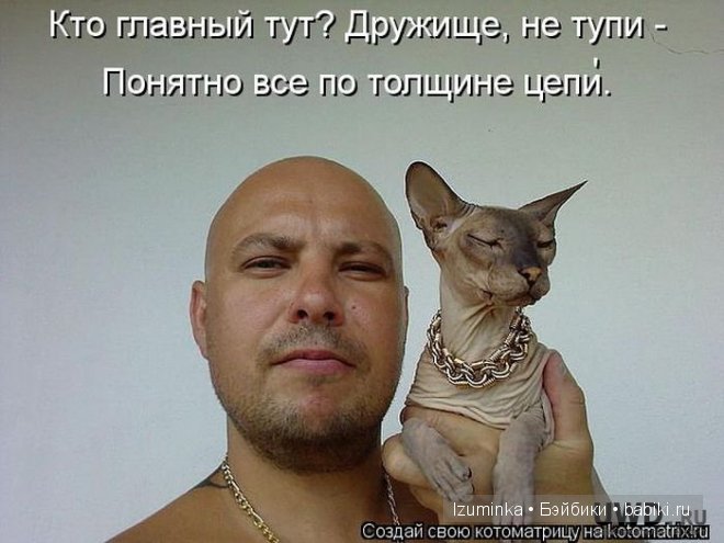 Ох уж эти зверики....Улыбнитесь