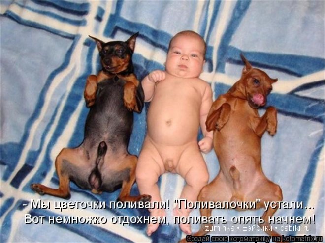 Ох уж эти зверики....Улыбнитесь (фото 2)