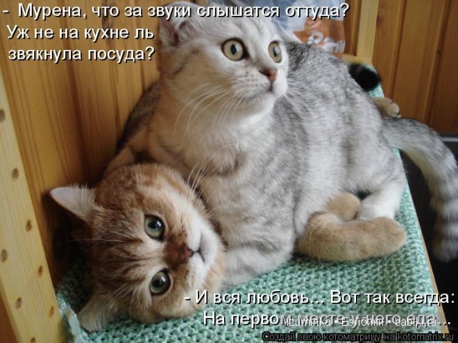 Ох уж эти зверики....Улыбнитесь (фото 5)
